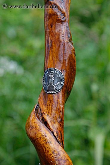 hiking-cane-w-emblems-2.jpg