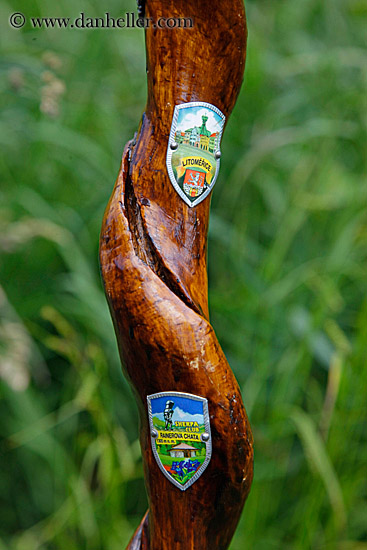 hiking-cane-w-emblems-3.jpg