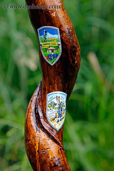 hiking-cane-w-emblems-4.jpg