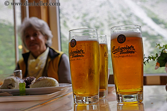 zlaty-bazant-beer-1.jpg