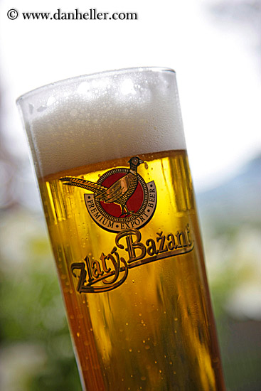 zlaty-bazant-beer-2.jpg