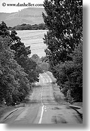 black and white, europe, lined, roads, slovakia, streets, trees, vertical, photograph