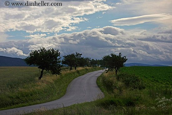 tree-lined-winding-road-n-clouds-2.jpg