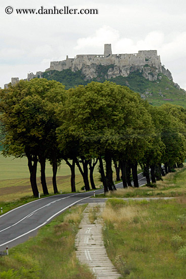 tree-lined-road-to-castle-2.jpg
