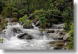 images/Europe/Slovakia/Water/flowers-n-flowing-river-5.jpg