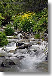 images/Europe/Slovakia/Water/flowers-n-flowing-river-6.jpg
