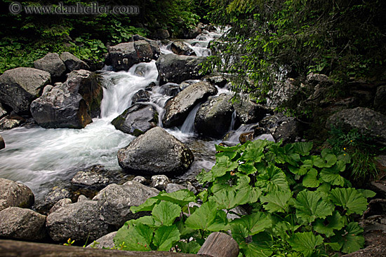flowing-river-n-leaves-2.jpg