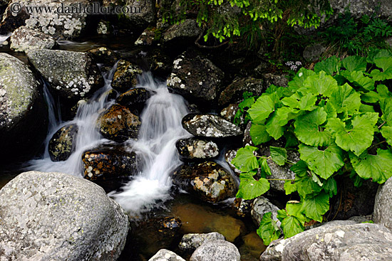 flowing-river-n-leaves-3.jpg