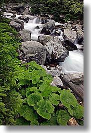 europe, flowing, leaves, motion blur, rivers, slovakia, slow exposure, vertical, water, photograph