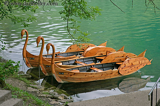 swan-boats.jpg