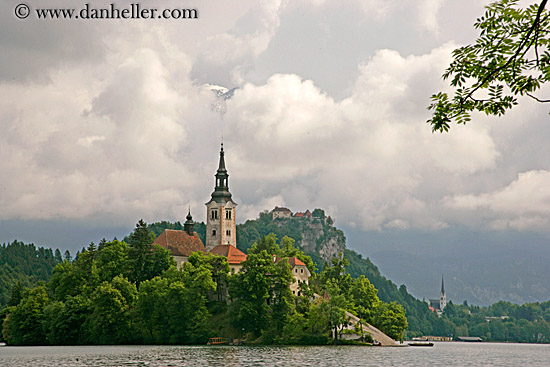 church-island-branches-5.jpg