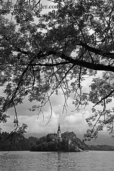 church-island-branches-8.jpg