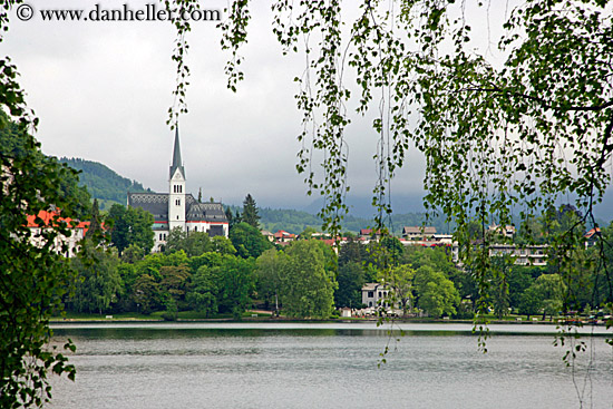 town-view-hanging-leaves.jpg