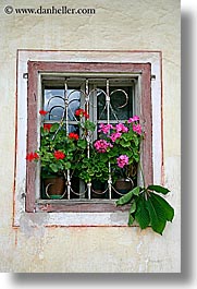 bohinj, europe, flowers, geraniums, slovenia, vertical, windows, photograph