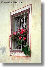 bohinj, europe, flowers, geraniums, slovenia, vertical, windows, photograph