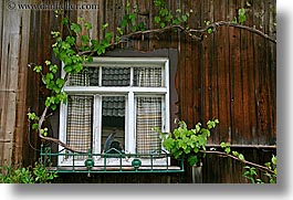 around, bohinj, europe, horizontal, slovenia, vines, windows, photograph