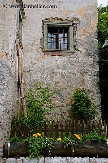 window-n-garden-1.jpg