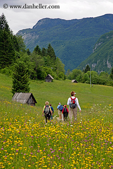 hiking-in-wildflowers-2.jpg
