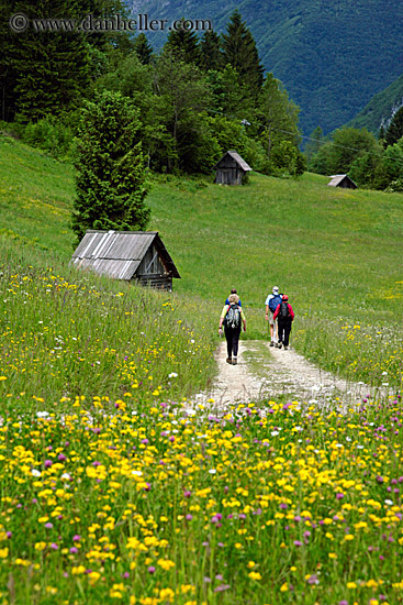 hiking-in-wildflowers-3.jpg