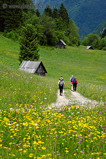 hiking-in-wildflowers-3.jpg