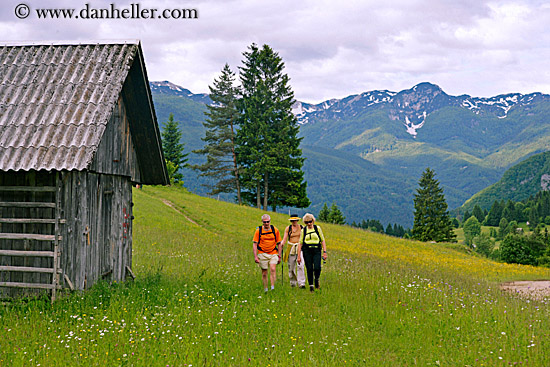 hiking-in-wildflowers-n-mtns-1.jpg