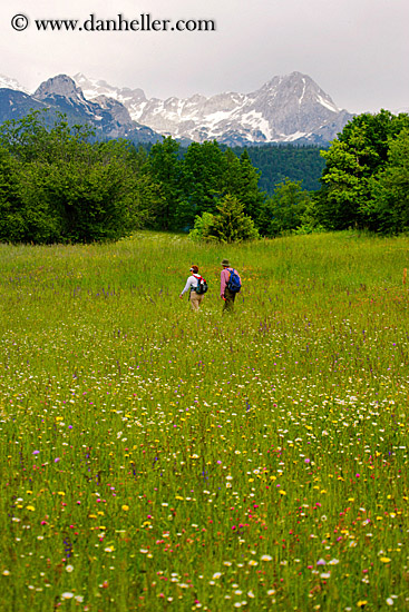 hiking-in-wildflowers-n-mtns-3.jpg