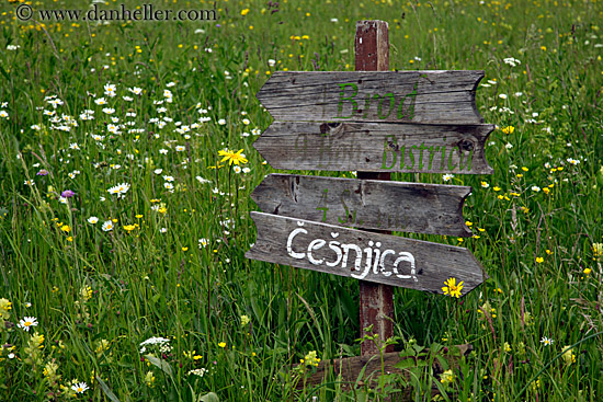 cesnjica-sign.jpg