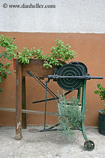 ivy-cart.jpg