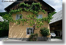 bohinj, europe, horizontal, ivy, slovenia, walls, photograph