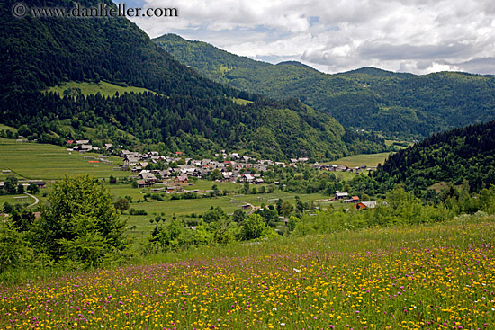 mountains-town-wildflowers-3.jpg