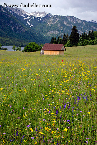 wildflowers-n-barn-12.jpg
