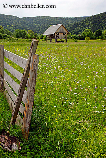 wildflowers-n-barn-13.jpg