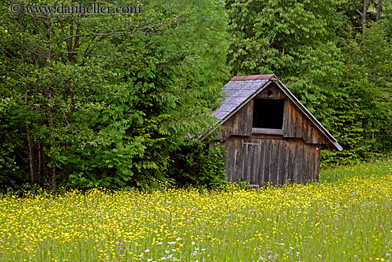 wildflowers-n-barn-17.jpg