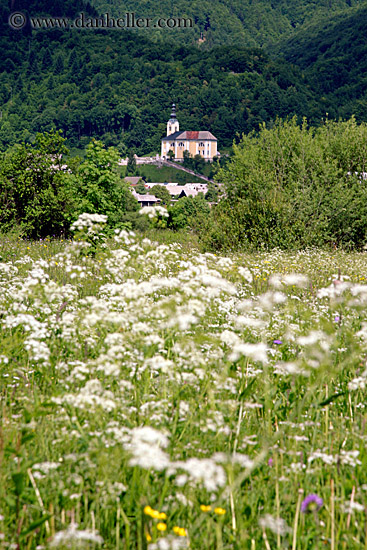 wildflowers-n-church.jpg