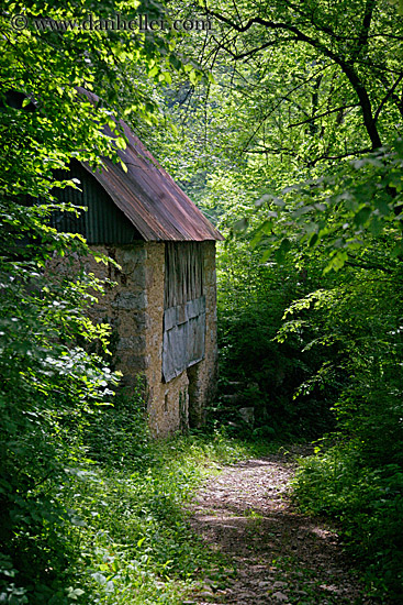 barn-in-woods.jpg