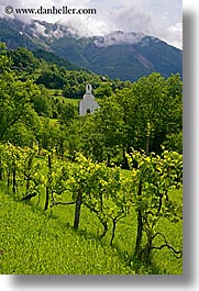 churches, clouds, dreznica, europe, grape vines, mountains, slovenia, vertical, photograph