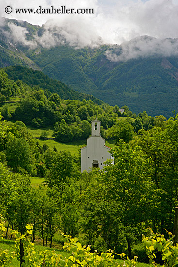 church-n-trees.jpg