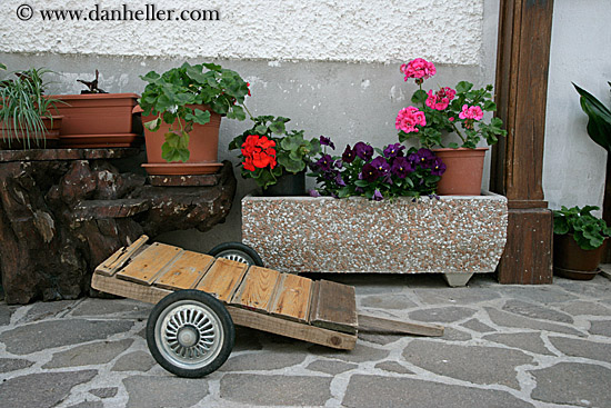 flowers-n-wheeled-plank.jpg