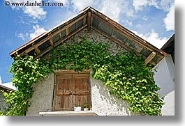 clouds, covered, dreznica, europe, horizontal, ivy, slovenia, walls, photograph