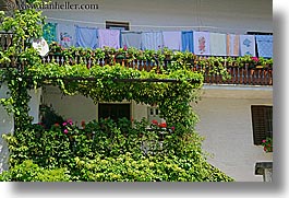 dreznica, europe, horizontal, ivy, laundry, slovenia, photograph