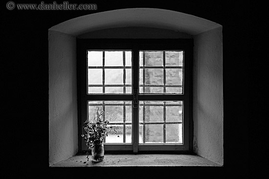 window-n-dead-flowers-bw.jpg