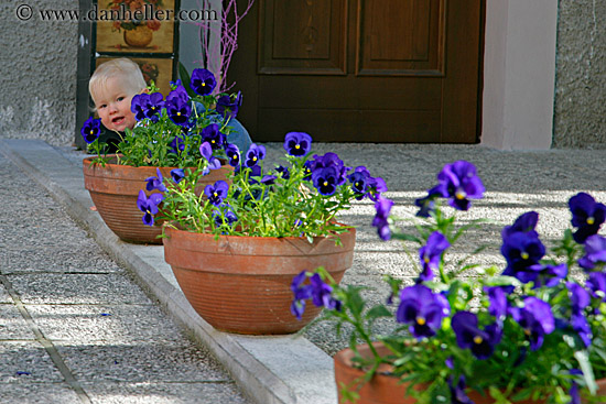 baby-n-flowers.jpg