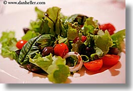 europe, hisa franko, horizontal, lettuce, salad, slovenia, tomatoes, photograph