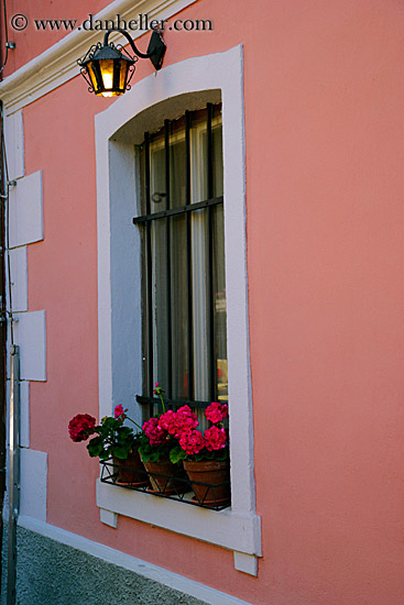 window-flowers-n-lamp.jpg