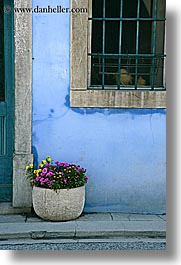 europe, flowers, kobarid, slovenia, vertical, windows, photograph