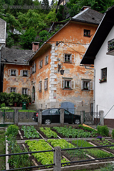 vegetable-garden-n-old-house.jpg
