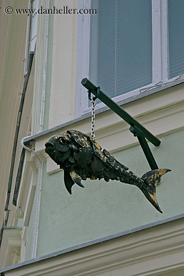hanging-fish-sculpture.jpg