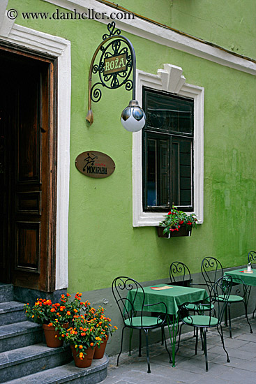 green-cafe-wall-n-flowers.jpg
