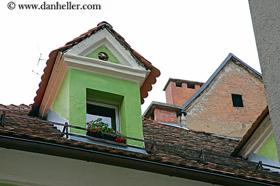 green-roof-window-n-flowers.jpg