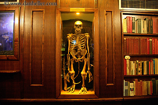 cafe-del-moro-skeleton.jpg